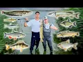 Download Lagu 🇩🇪 Fischarten Geschmacksvergleich: XXL Fischarten Catch\u0026Cook
