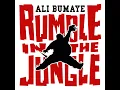 Sex ohne Grund - Ali Bumaye [feat. Shindy]