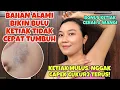 Download Lagu NGGAK SERING CUKUR2 BULU KETIAK LAGI! BAHAN ALAMI MENGHAMBAT PERTUMBUHAN BULU KETIAK DAN MENCERAHKAN
