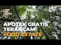 Download Lagu Perluasan Proyek Food Estate Membidik Hutan Kemenyan dan Tumbuhan Herbal | Dines Lingkungan Eps #9