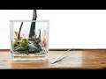 Download Lagu THE ORIGINAL (ULTRA RARE) PLANTED NANO TANK!!