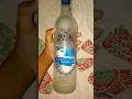 Download Lagu Magic Moment 750ml price just 355😱#views #viral #shorts #vodka #magicmoment #daru #beer