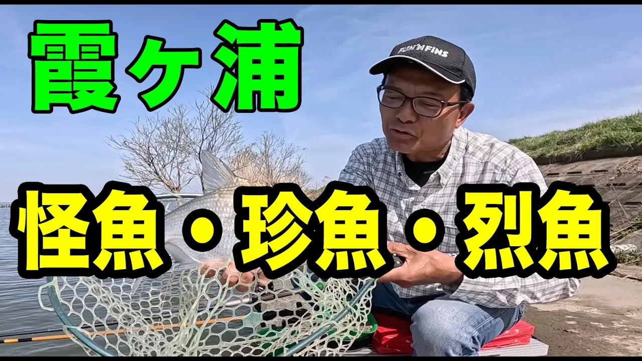 霞ヶ浦の怪魚、珍魚、烈魚