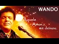 Download Lagu Wando - Aquele amor...me deixou