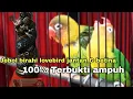 Download Lagu SUARA UNTUK MERANGSANG LOVEBIRD BETINA \u0026 jantan || masteran jebol birahi