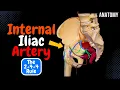Lagu Schema van de arteria iliaca interna (verloop, takken, ezelsbruggetje) | Anatomie