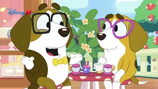 Bluey | Compilação de Minisódios de Bluey