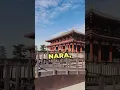 Download Lagu Dingen om te doen in Nara, Japan!