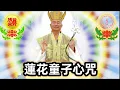 Lagu 蓮花童子心咒 OM GURU LIAN SHENG SIDDHI HUM | OM A HUM GURU BEI A HE SA SHA MA HA LIAN SHENG SIDDHI HUM