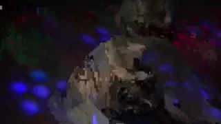 Oakley Dancing