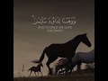 Download Lagu #Islamic_Whtsapp_status_video #StarT_YouR_DaY_WitH_QuraN📖 #qira'at_video #subhan_official_channel
