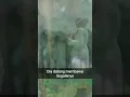 Download Lagu Sebisanya Aku berjuang bila di bandingkan yang beruang takan menang