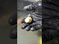 What s in a snake s poop