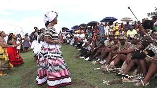 xhosa dance vs zulu dance who wins