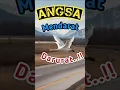 Download Lagu Viral: Angsa Capek Terbang, Mendarat di Tengah Jalan! #shorts #hewan