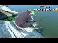 Download Lagu Ganas..! Mancing pas dapat rajanya sampai kuwalahan 