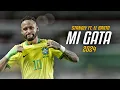 Download Lagu Neymar Jr ● Mi Gata | Standly Ft. El Barto ᴴᴰ