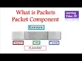 What is Packets Packet Components