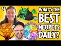 Sidebar Episode 002 Dailies Grind The Void Within and Trapped on an Island with a Neopets NPC
