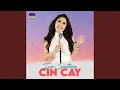 Download Lagu Cin Cay