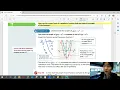 EnVision Algebra 1 Lesson 8-2 Quadratic Functions in Vertex Form