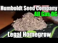 Humboldt Seed Company - All Gas OG