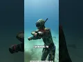 Download Lagu Diver vs Octopus