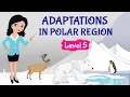 Download Lagu Polar Regions For Kids | Science | Grade 4 \u0026 5 | TutWay
