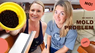 Boating Disaster! Our Boat is Overrun with MOLD! – Lazy Gecko Sailing VLOG 218