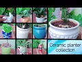 My ceramic pot collection Ceramic planter collection