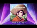 Vicente Fernández - Hermoso Cariño (Audio)