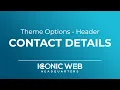 Theme Options - Header