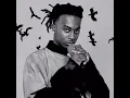 Playboi Carti- Shawty In Luv V3**