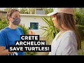 Download Lagu Crete Archelon Save turtles!