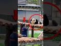 Download Lagu Seekor Panda dan Petugas di Kebun Binatang