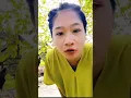 Download Lagu Mantan dancer kecimol mhs Novi Aulia Sekarang makin cantik
