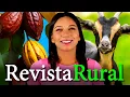 Download Lagu PROGRAMA REVISTA RURAL - 07/09/2025