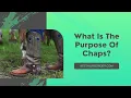 What Is The Purpose Of Chaps