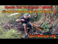 Download Lagu LUAR BIASA‼️Spot Nyaris Tak Terjamah,sekali Di Jamah Dapatnya Belut monster..
