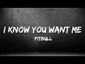 Download Lagu Pitbull - I Know You Want Me (Calle Ocho) (Lyrics)