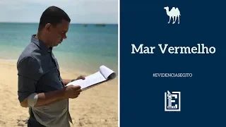 Especial Egito - Mar Vermelho