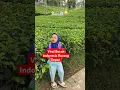 Download Lagu Viral Seorang Bocah Mengeluarkan kata kotor Terhadap Orang Dewasa #viralshorts #bocahindonesia