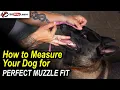 How to Measure Your Dog for a Perfect Fitting Muzzle by Nick White and Dirk Hamilton