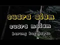suara alam desaku_ suara burung Kelong wiwi.suara yang terdengar sewaktu_ waktu.
