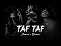 Oldy Got TheSound, Anys & Shaw - TAF TAF (Slowed + Reverb)