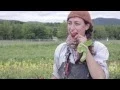 Williams-Sonoma Open Kitchen Harvest Dinner in Hudson Valley