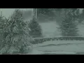 Download Lagu Epic Snowstorm | 10 Hours Version | Howling Blizzard Sounds | Heavy Wind | Perfect Sounds For Sleep
