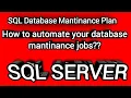 SQL Server maintenance plans Easy Method to create maintenance plans 3