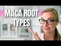 Download Lagu Maca Powder Benefits - Maca types (yellow, red, black)