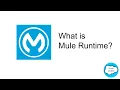What is Mule Runtime MuleSoft 5 min Salesforce